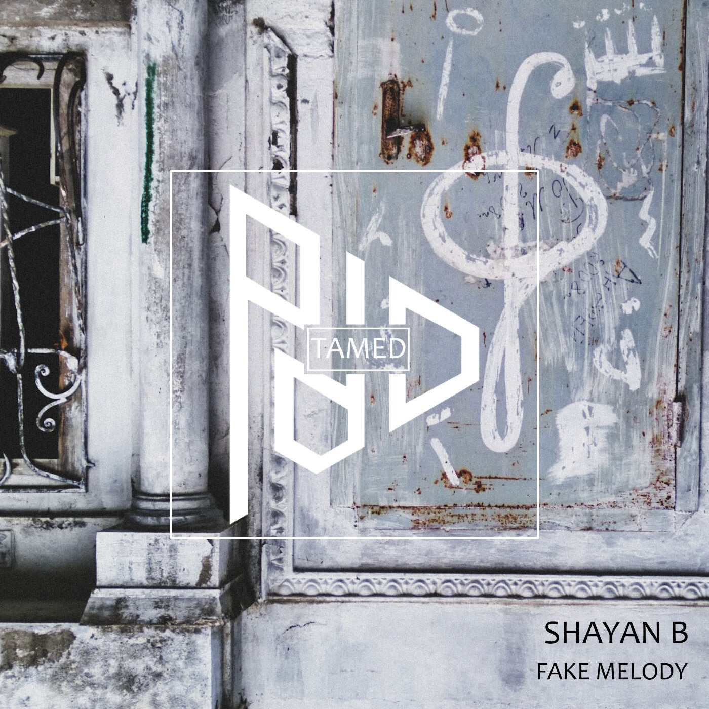 Shayan B – Fake Melody [TAMED079]